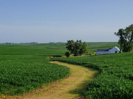 Agricultural industry